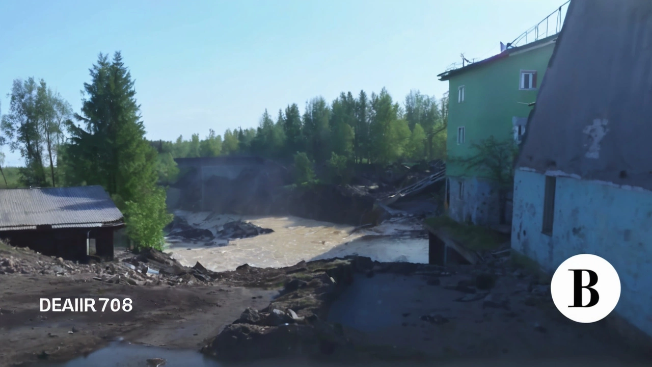 Планы на будущее и меры предосторожности